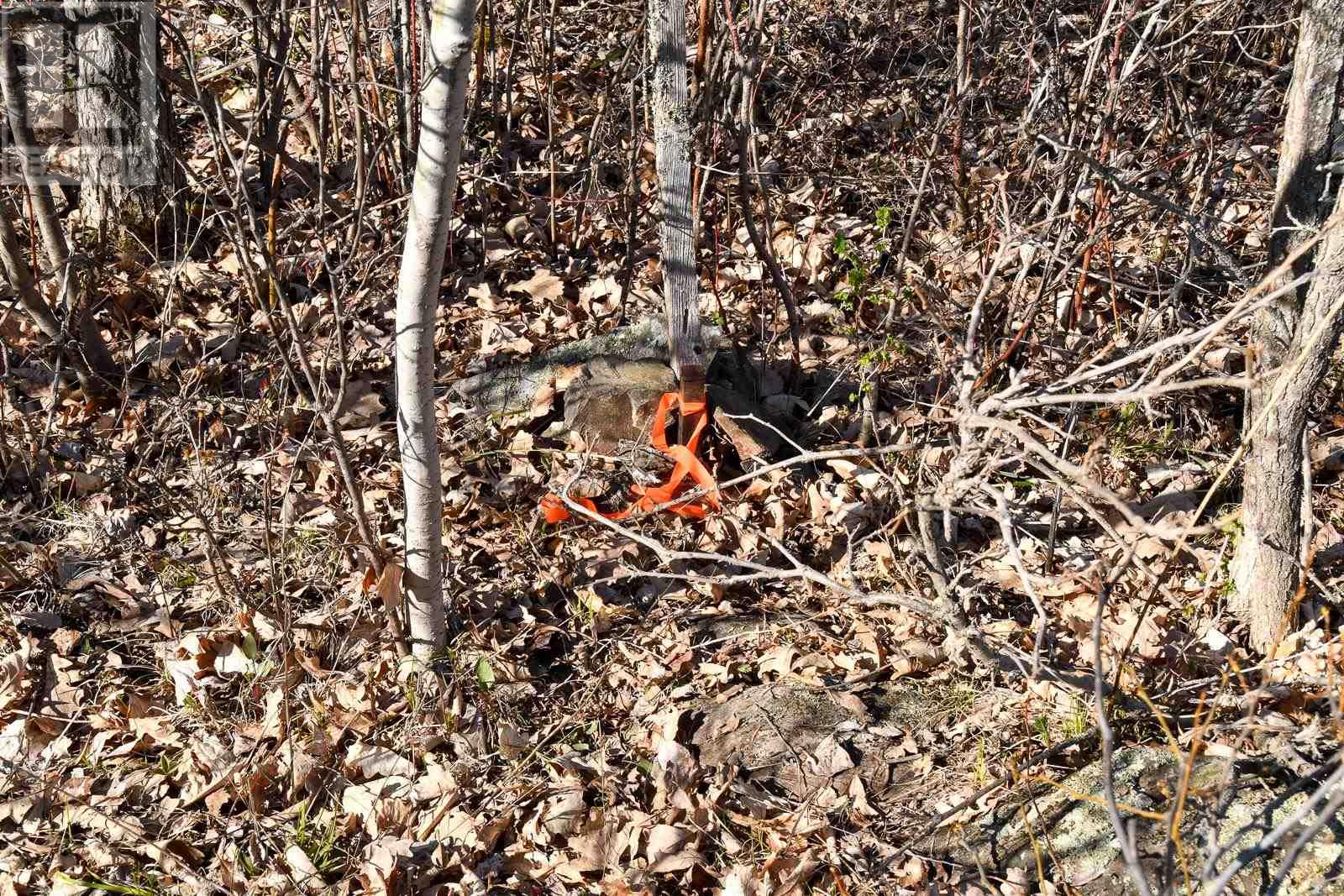 1 Maybrun Subdivision Rd, Sioux Narrows, Ontario P0X 1N0 - Photo 13 - TB251113