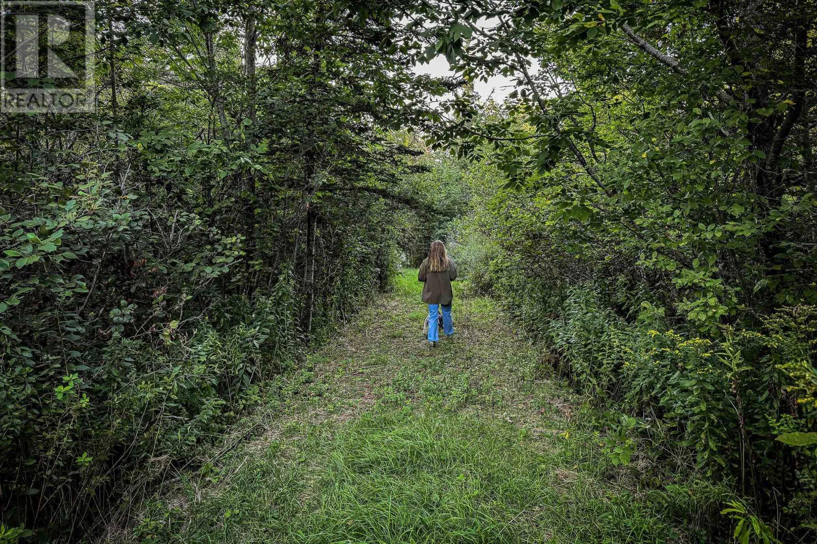 Lot 3 Outram Road, Mount Hanley, Nova Scotia  B0S 1P0 - Photo 10 - 202526457