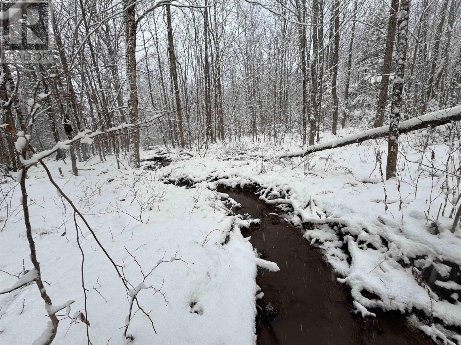 Lot 3 Outram Road, Mount Hanley, Nova Scotia  B0S 1P0 - Photo 14 - 202526457