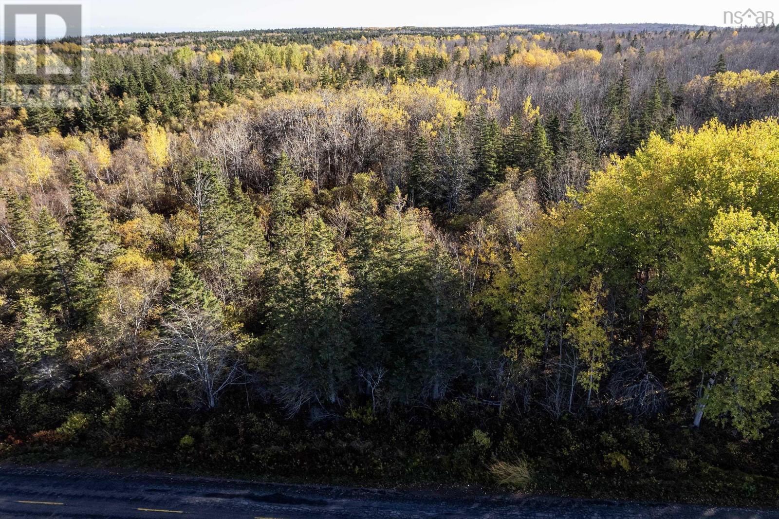 Lot 3 Outram Road, Mount Hanley, Nova Scotia  B0S 1P0 - Photo 5 - 202526457