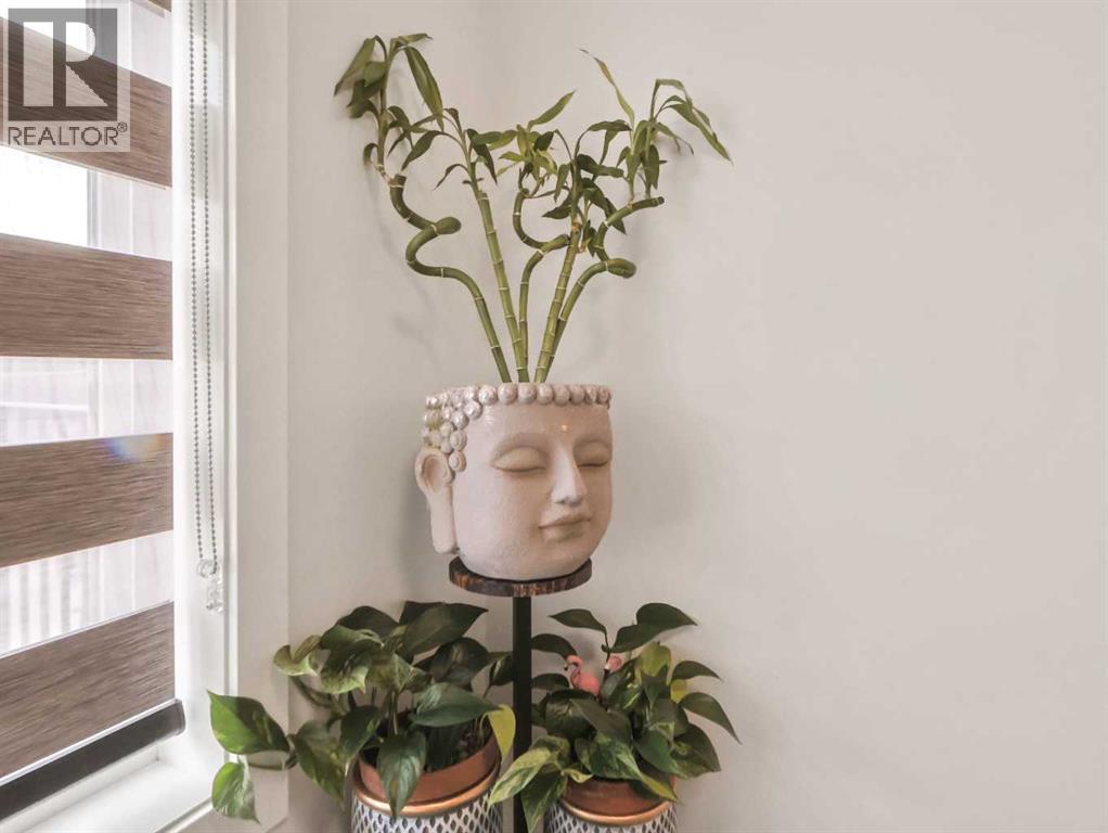 144 Skyview Point Green Ne, Calgary, Alberta  T4N 0G7 - Photo 13 - A2258438