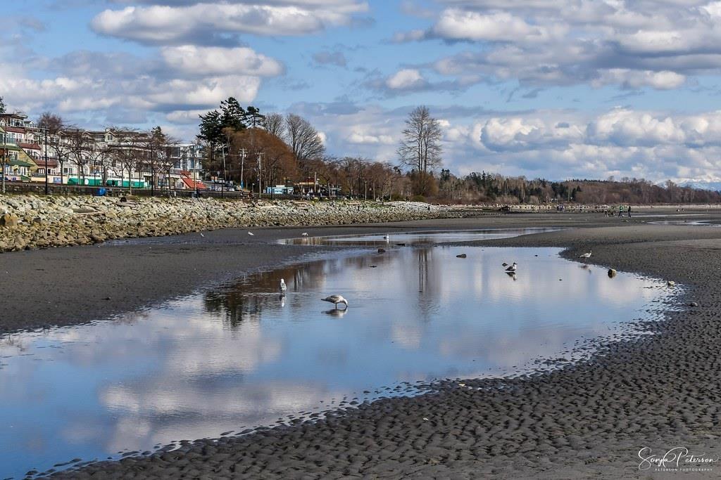 858 Stevens Street, White Rock, British Columbia  V4B 4X2 - Photo 36 - R3060852