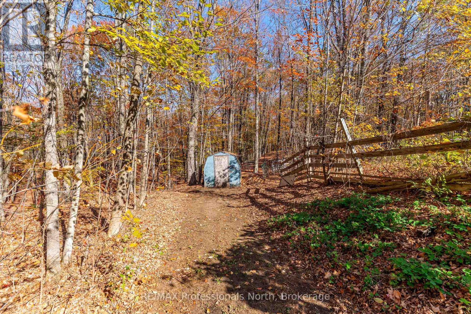1415 South Lake Road, Minden Hills, Ontario  K0M 2K0 - Photo 40 - X12478757