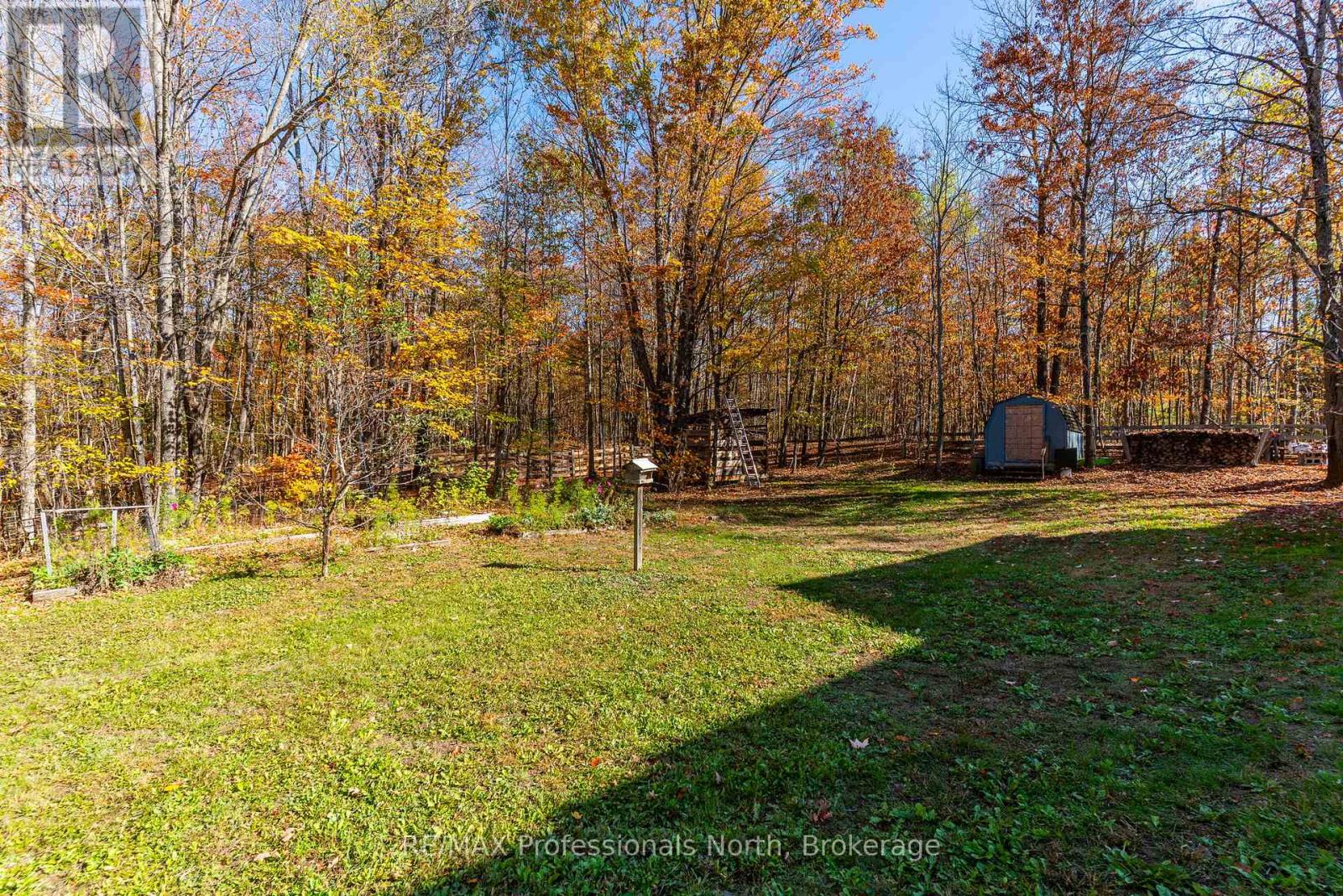 1415 South Lake Road, Minden Hills, Ontario  K0M 2K0 - Photo 41 - X12478757