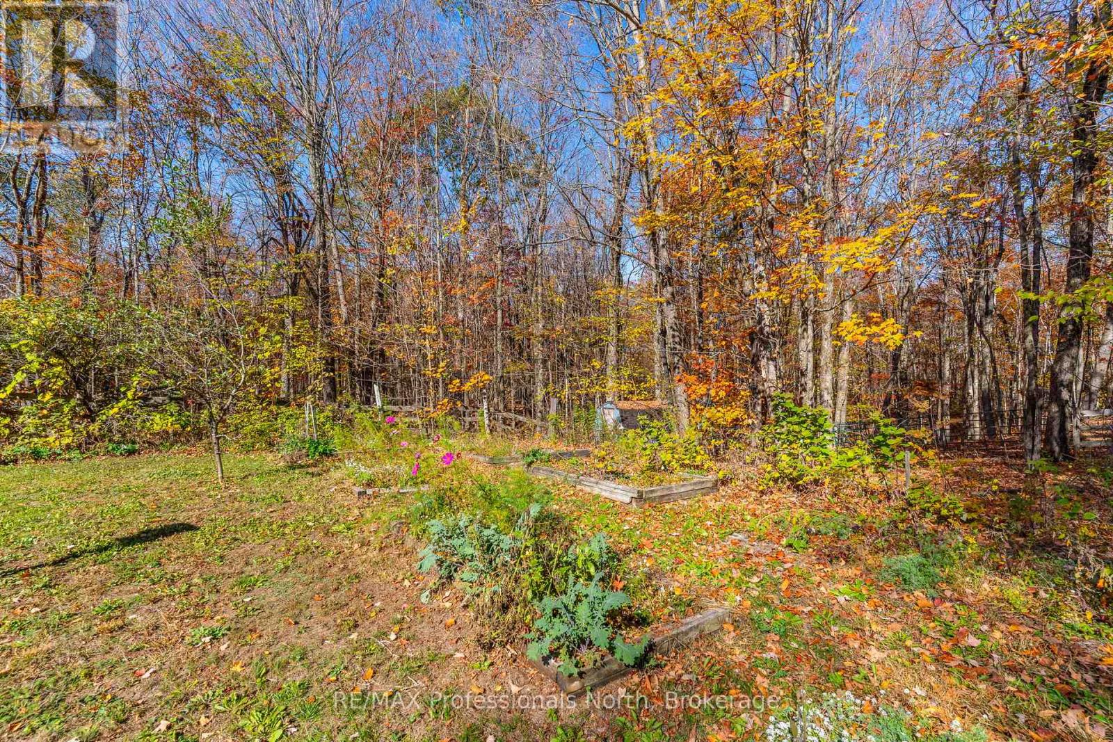 1415 South Lake Road, Minden Hills, Ontario  K0M 2K0 - Photo 44 - X12478757
