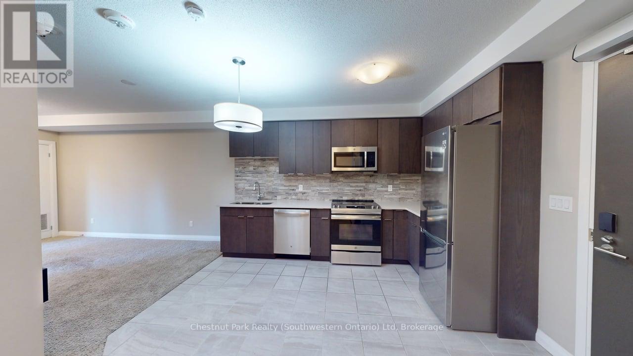 209 - 63 Arthur Street S, Guelph, Ontario  N1E 0A8 - Photo 3 - X12478789