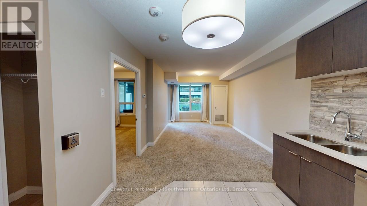 209 - 63 Arthur Street S, Guelph, Ontario  N1E 0A8 - Photo 9 - X12478789