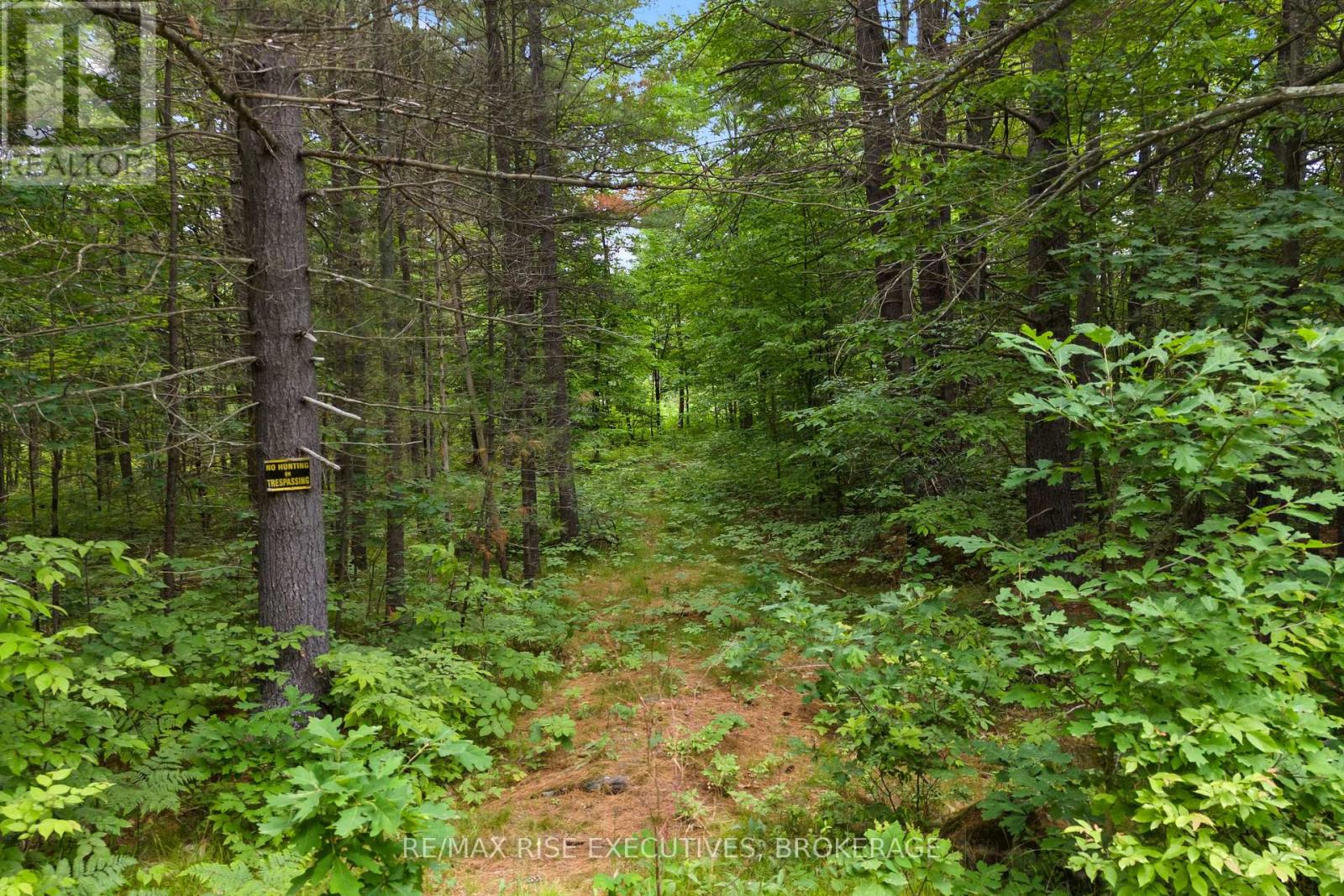 Lot 16 Echo Lake Road, Frontenac, Ontario  K0H 2K0 - Photo 6 - X12440752