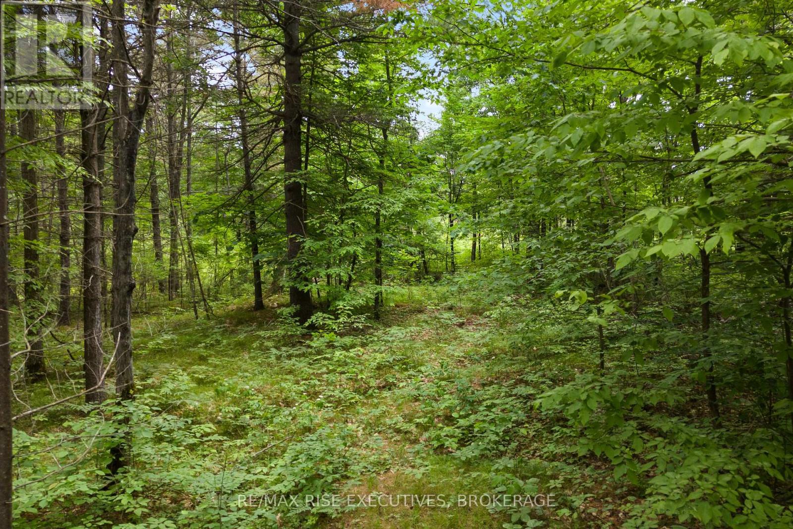 Lot 16 Echo Lake Road, Frontenac, Ontario  K0H 2K0 - Photo 7 - X12440752