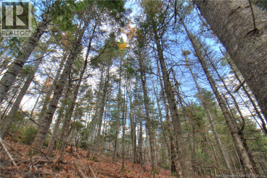 LOT 25-8 Creekview Lane, Galloway, New Brunswick