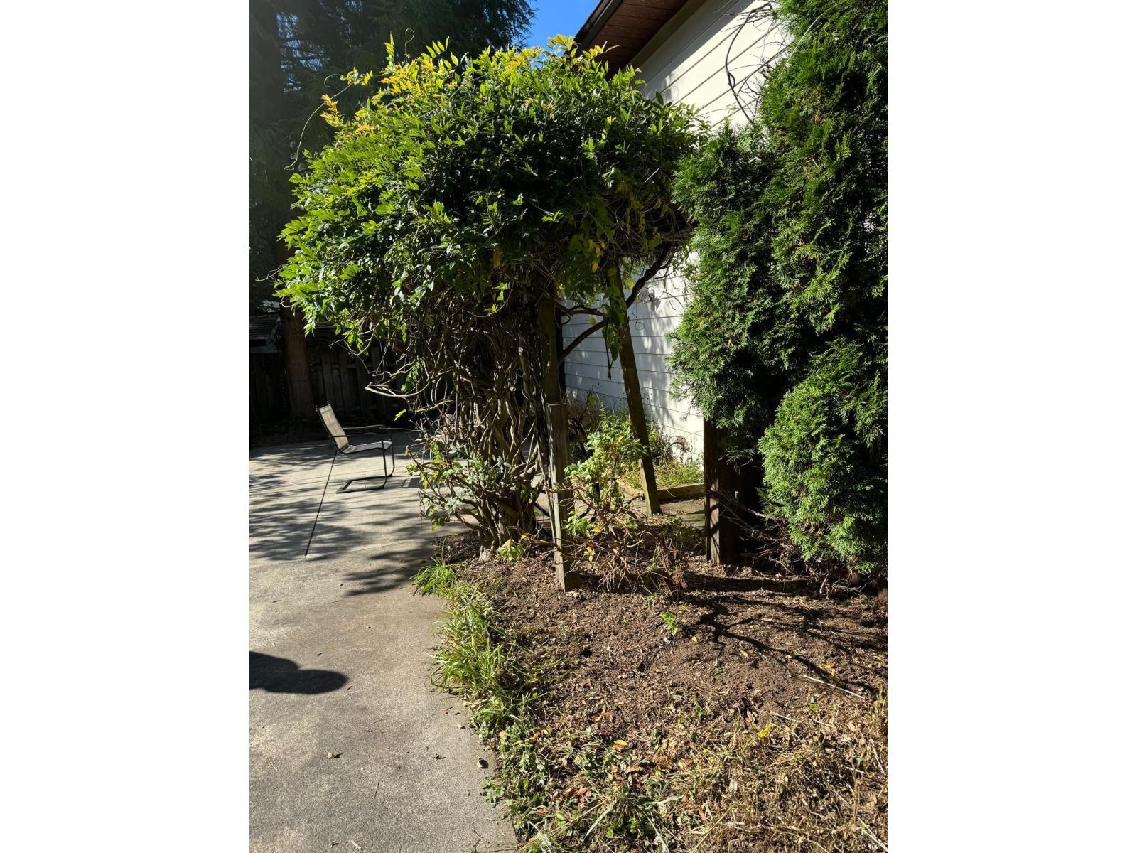 4907 202a Street, Langley, British Columbia  V3A 6W8 - Photo 34 - R3061285