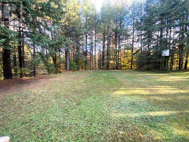 17921 Highway 50 Road, Caledon, Ontario  L7E 3J9 - Photo 14 - W12478786