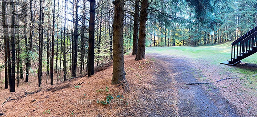 17921 Highway 50 Road, Caledon, Ontario  L7E 3J9 - Photo 18 - W12478786