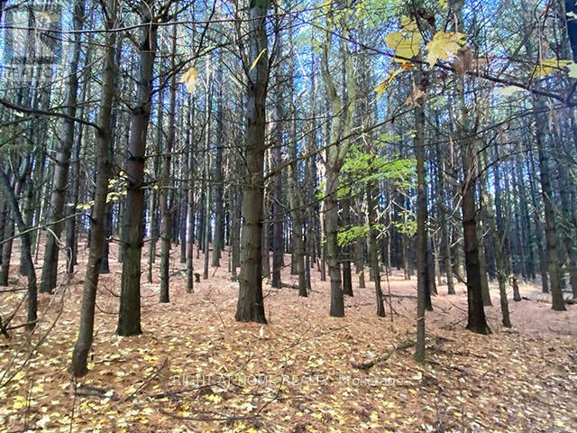 17921 Highway 50 Road, Caledon, Ontario  L7E 3J9 - Photo 3 - W12478786
