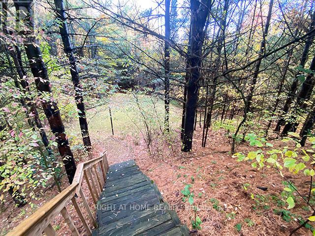 17921 Highway 50 Road, Caledon, Ontario  L7E 3J9 - Photo 31 - W12478786