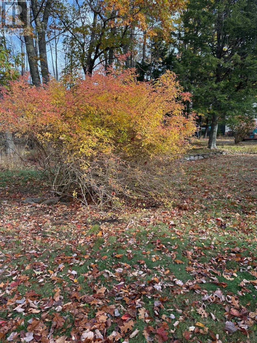 44 Pinehurst Avenue, Bridgewater, Nova Scotia  B4V 3A4 - Photo 22 - 202526365