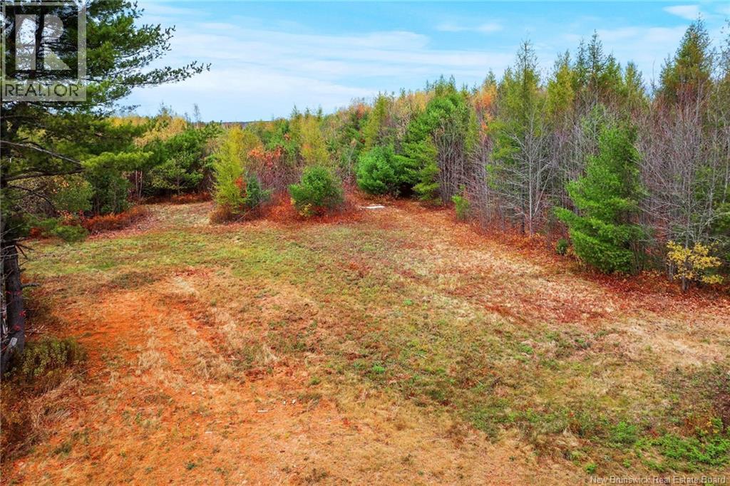 Lot-02 Branch Road Road, Geary, New Brunswick  E2V 0O0 - Photo 6 - NB129085