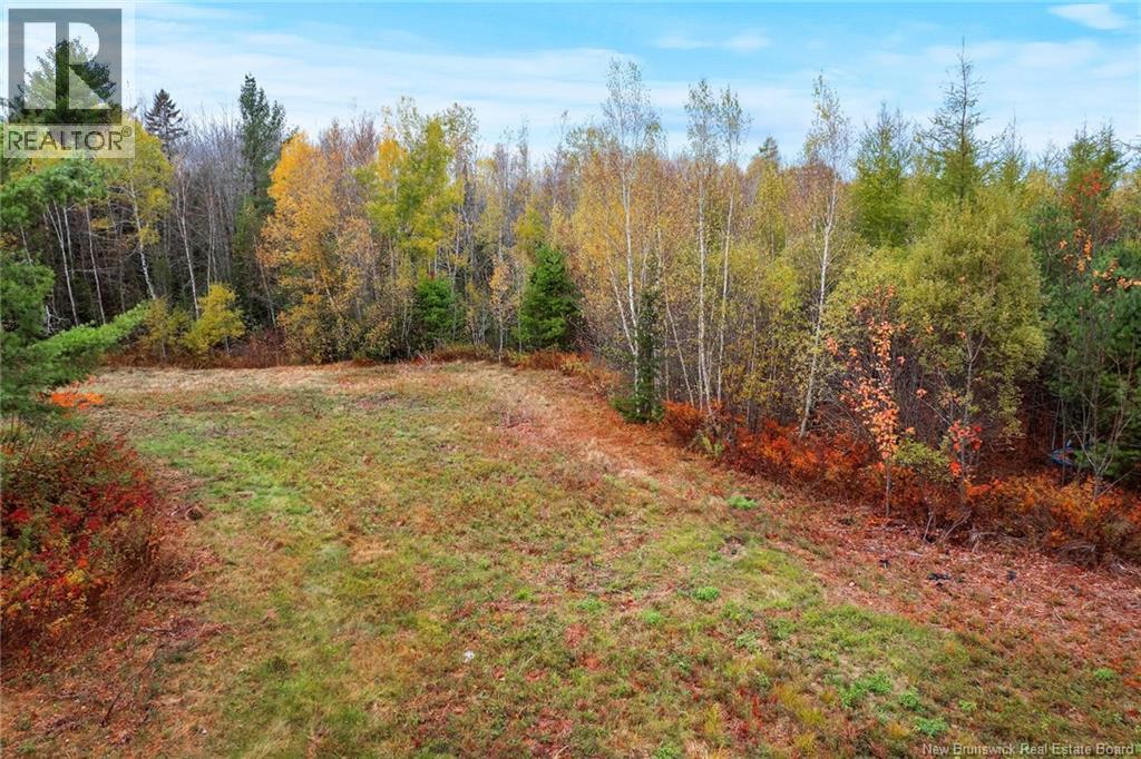 Lot-02 Branch Road Road, Geary, New Brunswick  E2V 0O0 - Photo 7 - NB129085