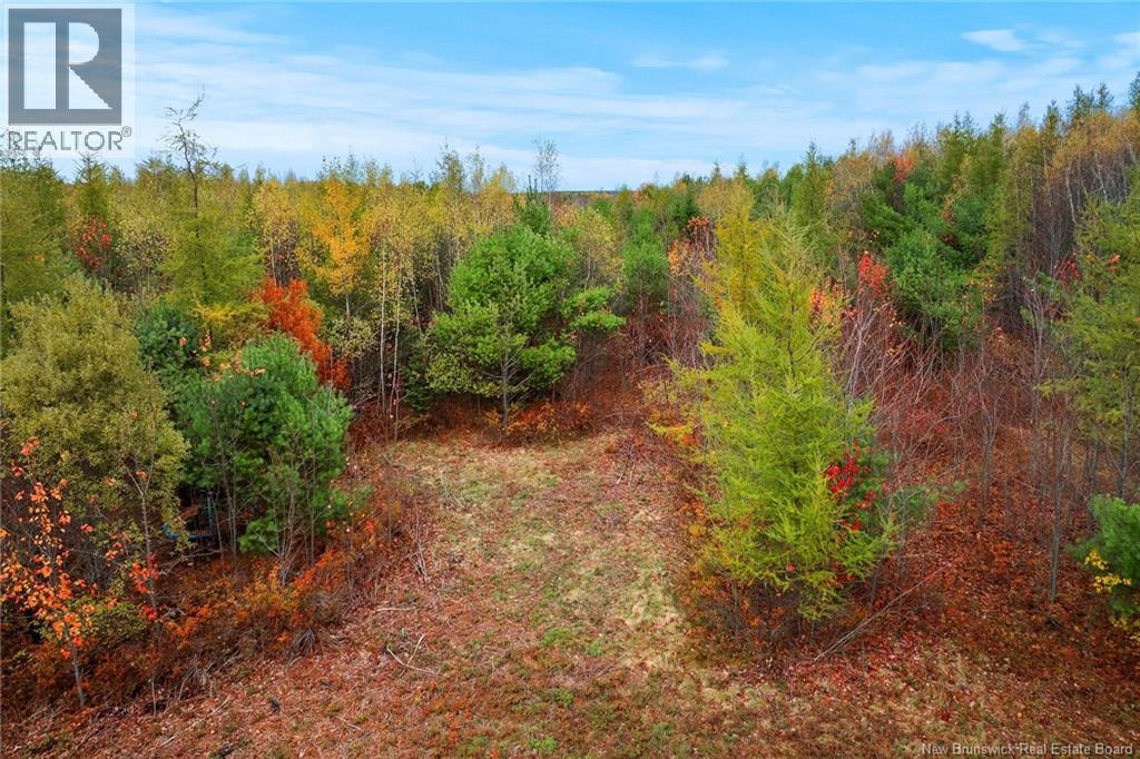Lot-02 Branch Road Road, Geary, New Brunswick  E2V 0O0 - Photo 8 - NB129085