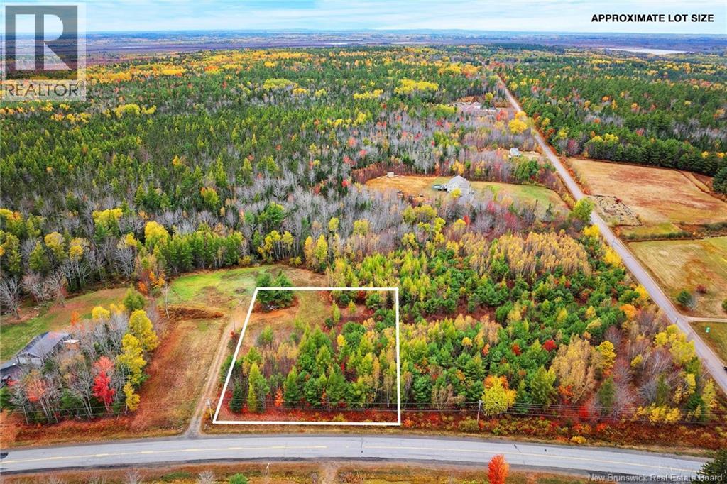 Lot-02 Branch Road Road, Geary, New Brunswick  E2V 0O0 - Photo 9 - NB129085