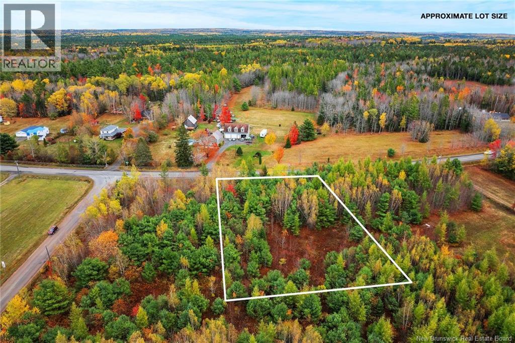 Lot-01 Branch Road, Geary, New Brunswick  E2V 0O0 - Photo 4 - NB129080