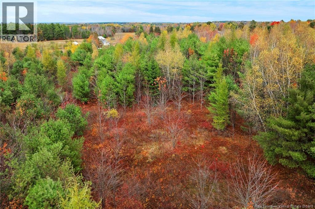 Lot-01 Branch Road, Geary, New Brunswick  E2V 0O0 - Photo 7 - NB129080