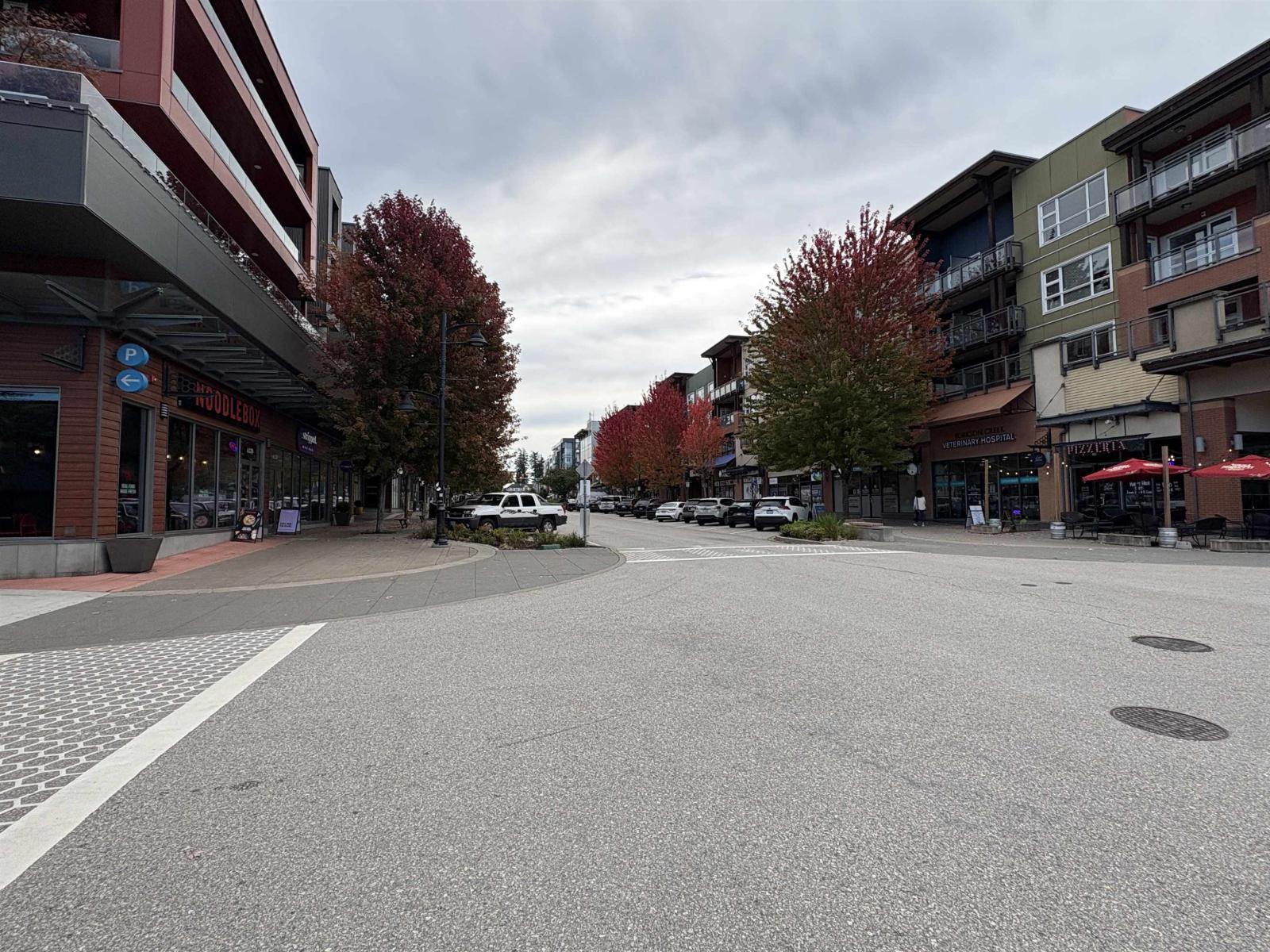 A417 20727 Willoughby Town Centre Drive, Langdale, British Columbia V2Y 3N1 - Photo 25 - R3061410