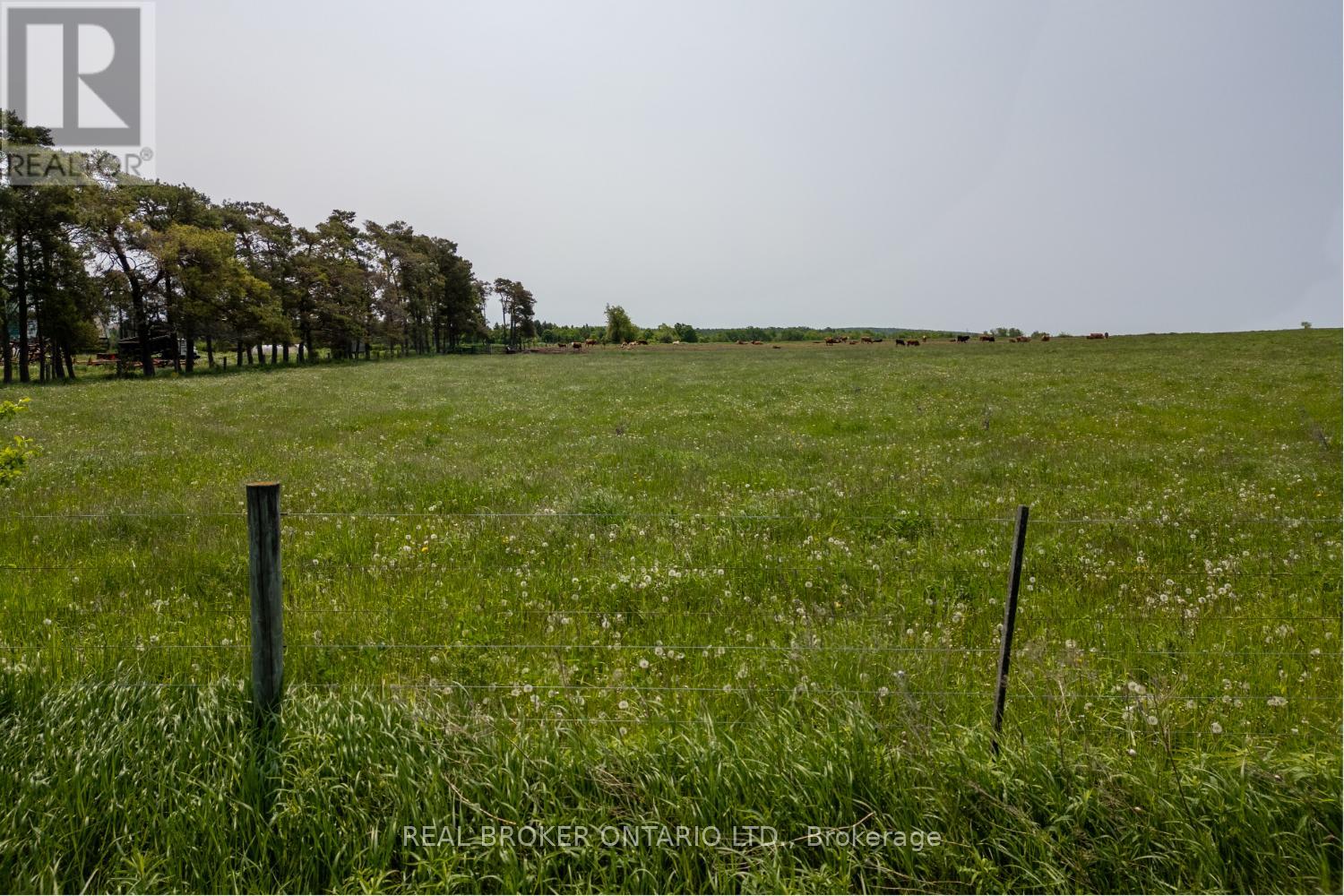 Pt Lt 22 Con 3 Cavan Pt 1, Cavan Monaghan, Ontario  L0A 1G0 - Photo 11 - X12457040