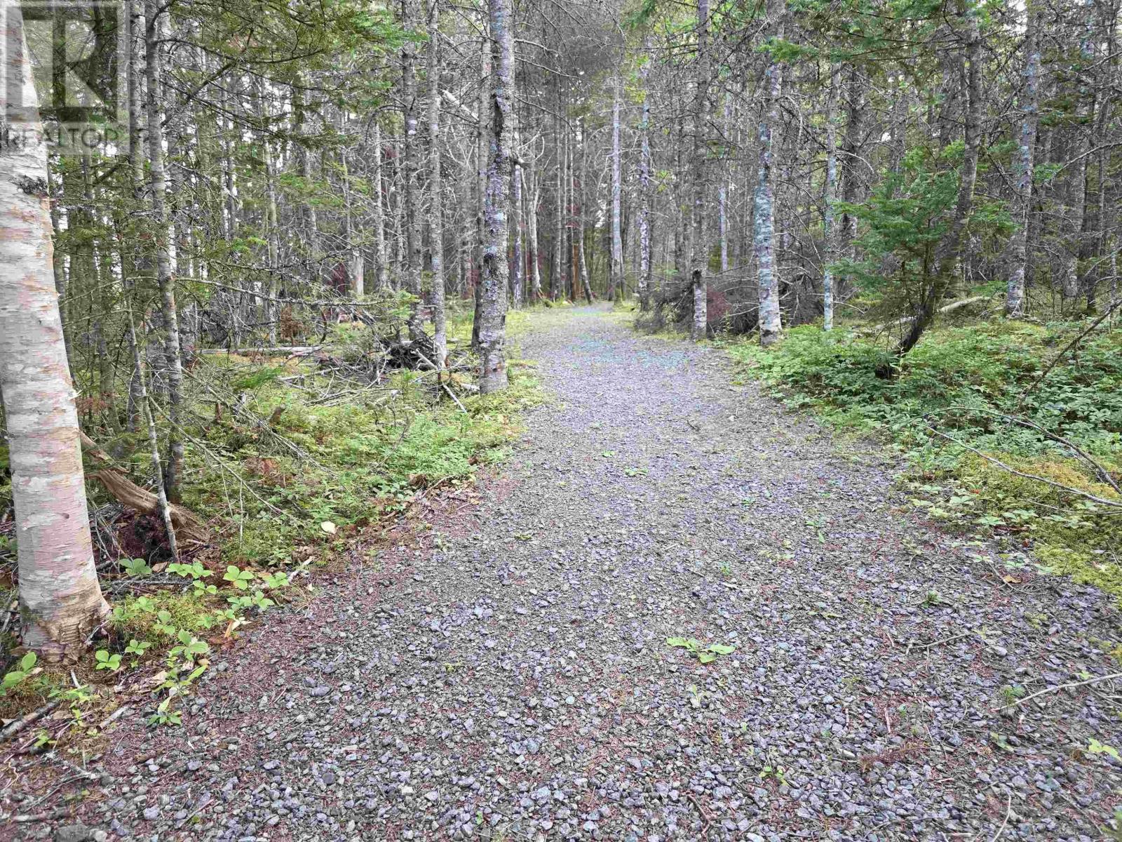 9 Grand Gully Road, River Tillard, Nova Scotia  B0E 2X0 - Photo 10 - 202521182