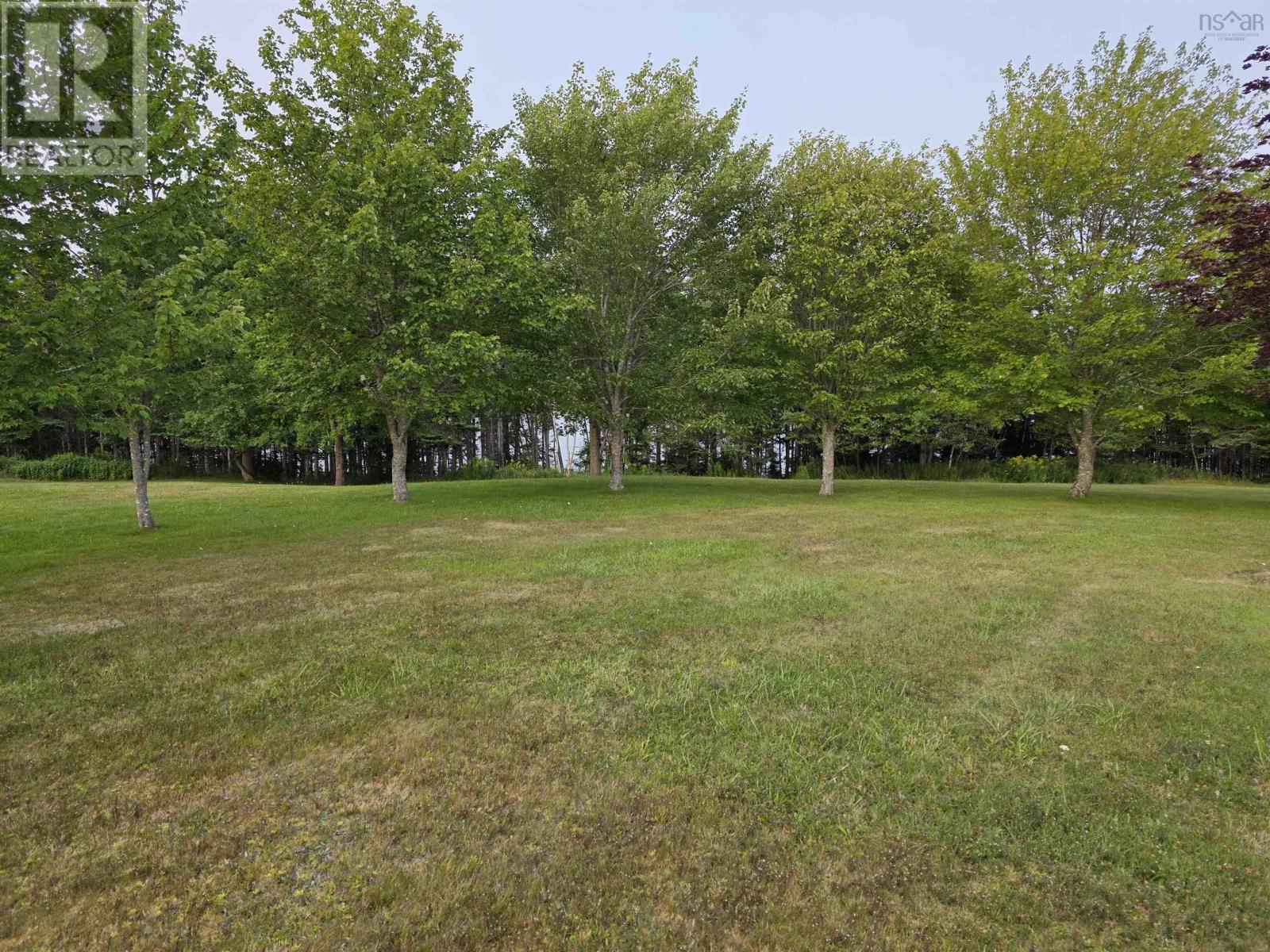 9 Grand Gully Road, River Tillard, Nova Scotia  B0E 2X0 - Photo 13 - 202521182