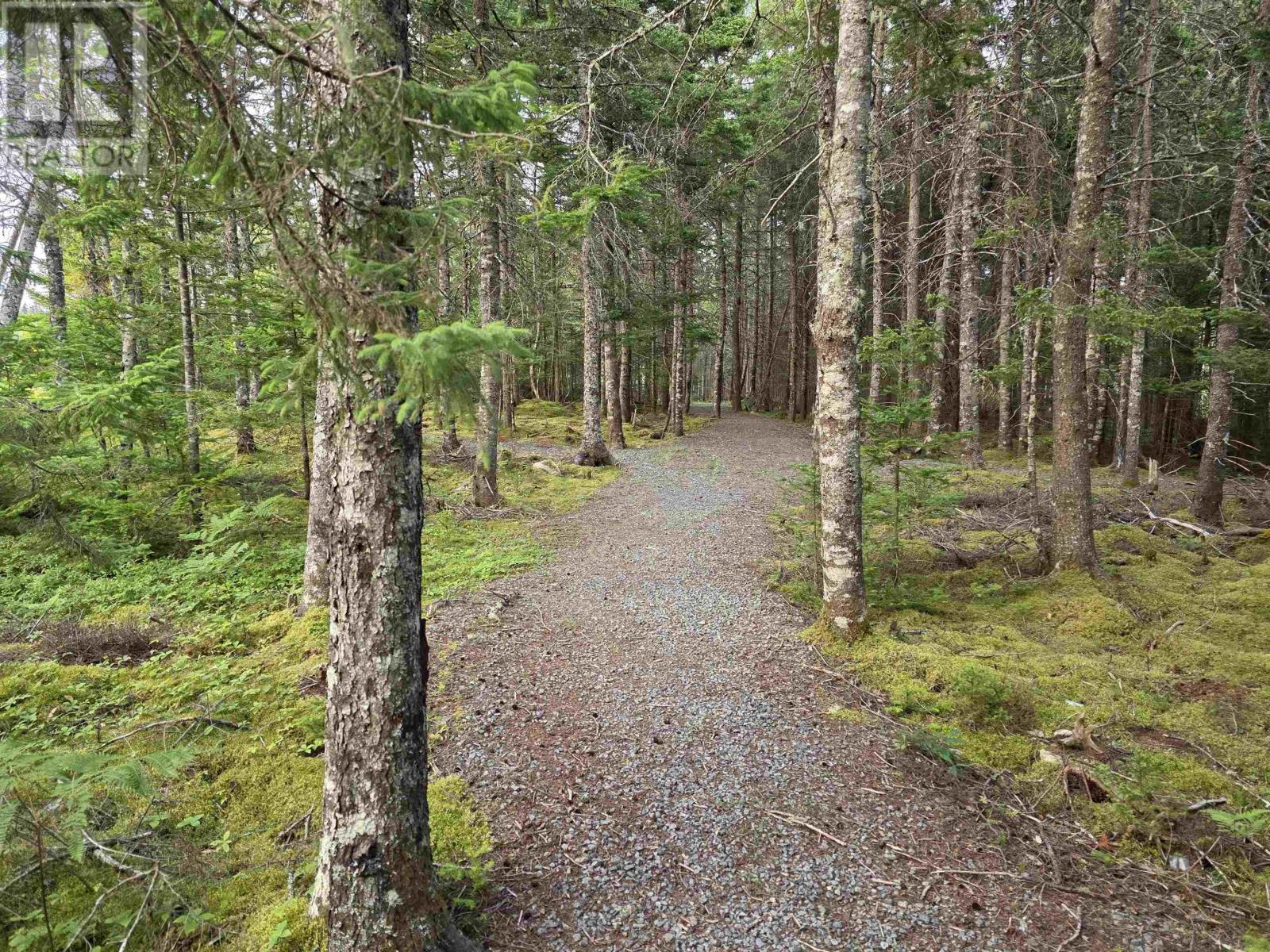 9 Grand Gully Road, River Tillard, Nova Scotia  B0E 2X0 - Photo 11 - 202521182