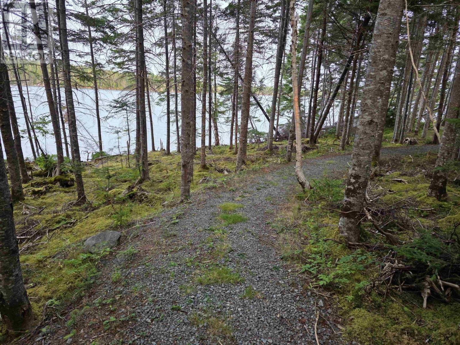 9 Grand Gully Road, River Tillard, Nova Scotia  B0E 2X0 - Photo 9 - 202521182