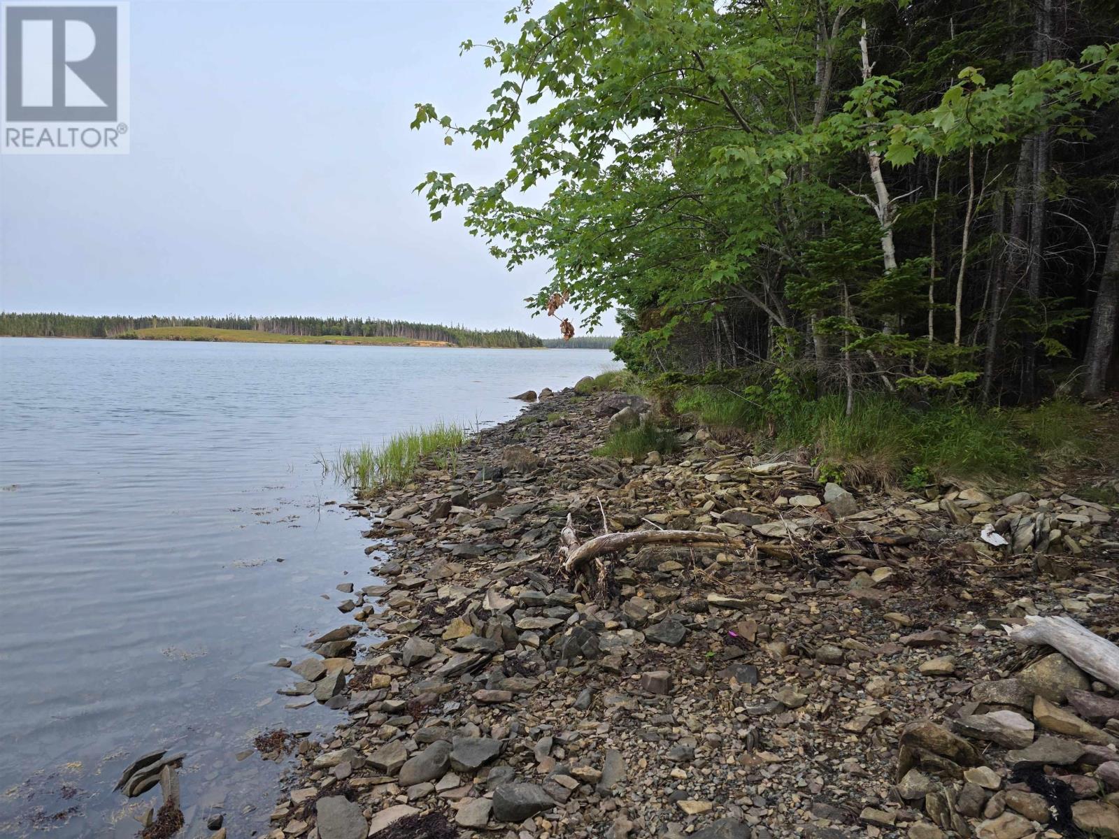 9 Grand Gully Road, River Tillard, Nova Scotia  B0E 2X0 - Photo 6 - 202521182