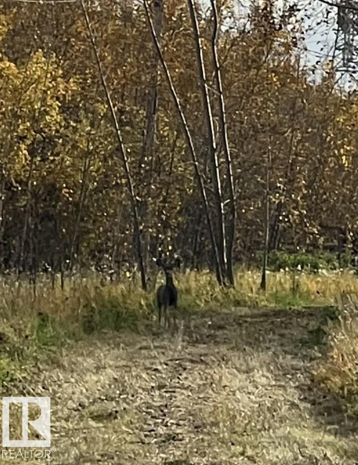 165043 Township Road 542, Rural Lamont County, Alberta  T0B 3H0 - Photo 26 - E4418422