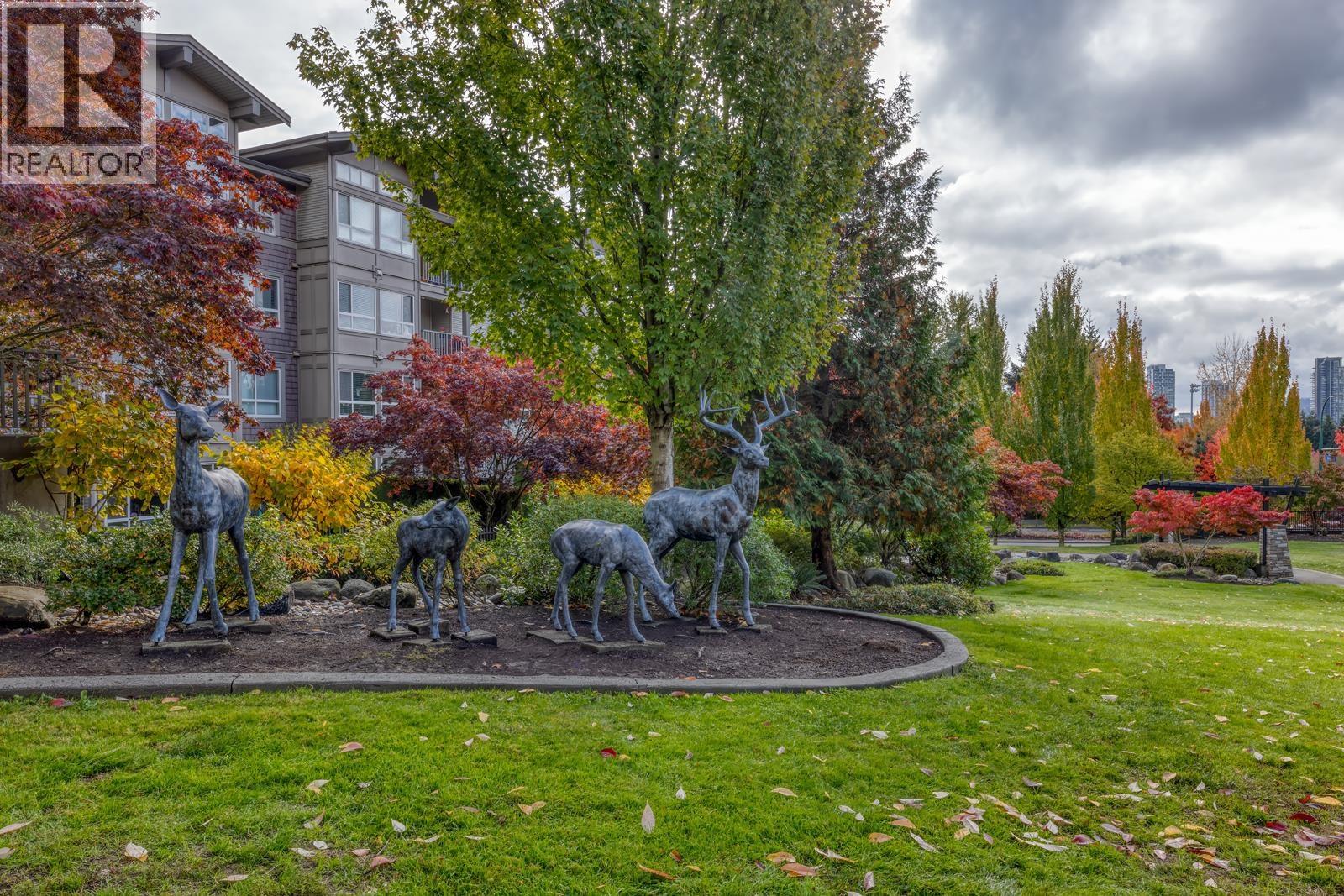 202 3156 Dayanee Springs Boulevard, Coquitlam, British Columbia  V3E 0B7 - Photo 29 - R3061416