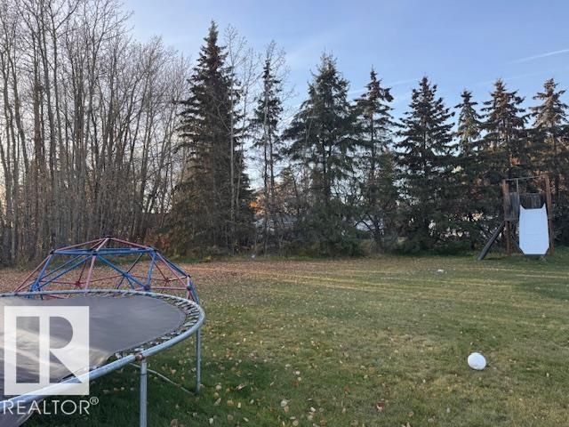 4806 51 Av, Neerlandia, Alberta  T0G 1R0 - Photo 24 - E4463230