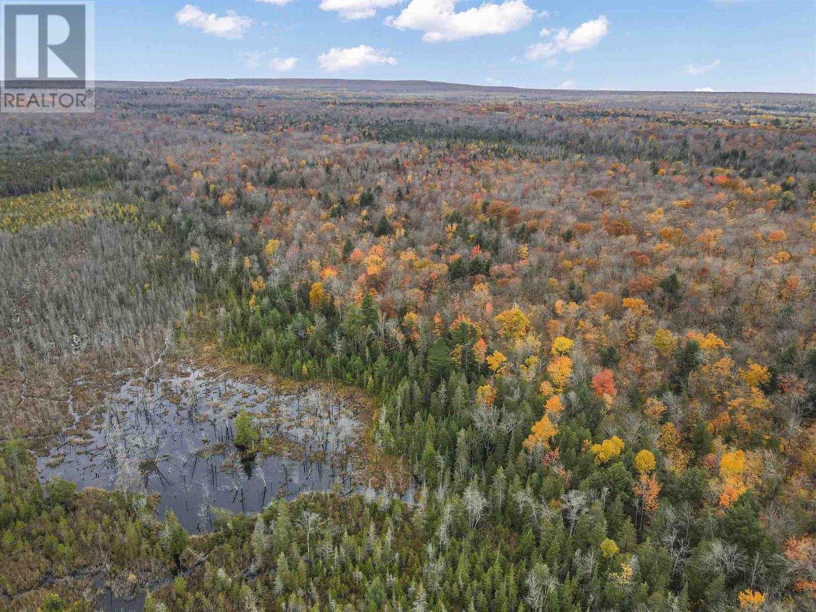 Pt Lt 12 Con V, Richards Landing, Ontario  P0R 1J0 - Photo 10 - SM253064