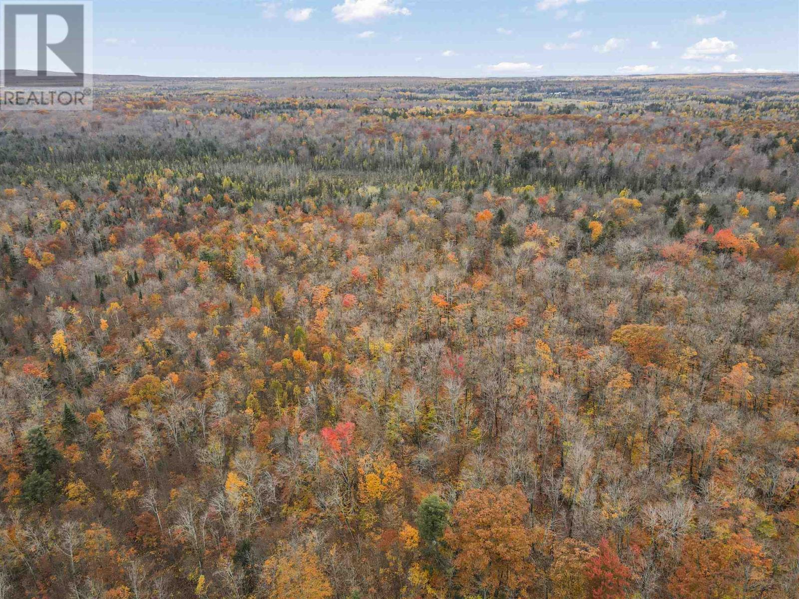 Pt Lt 12 Con V, Richards Landing, Ontario  P0R 1J0 - Photo 14 - SM253064