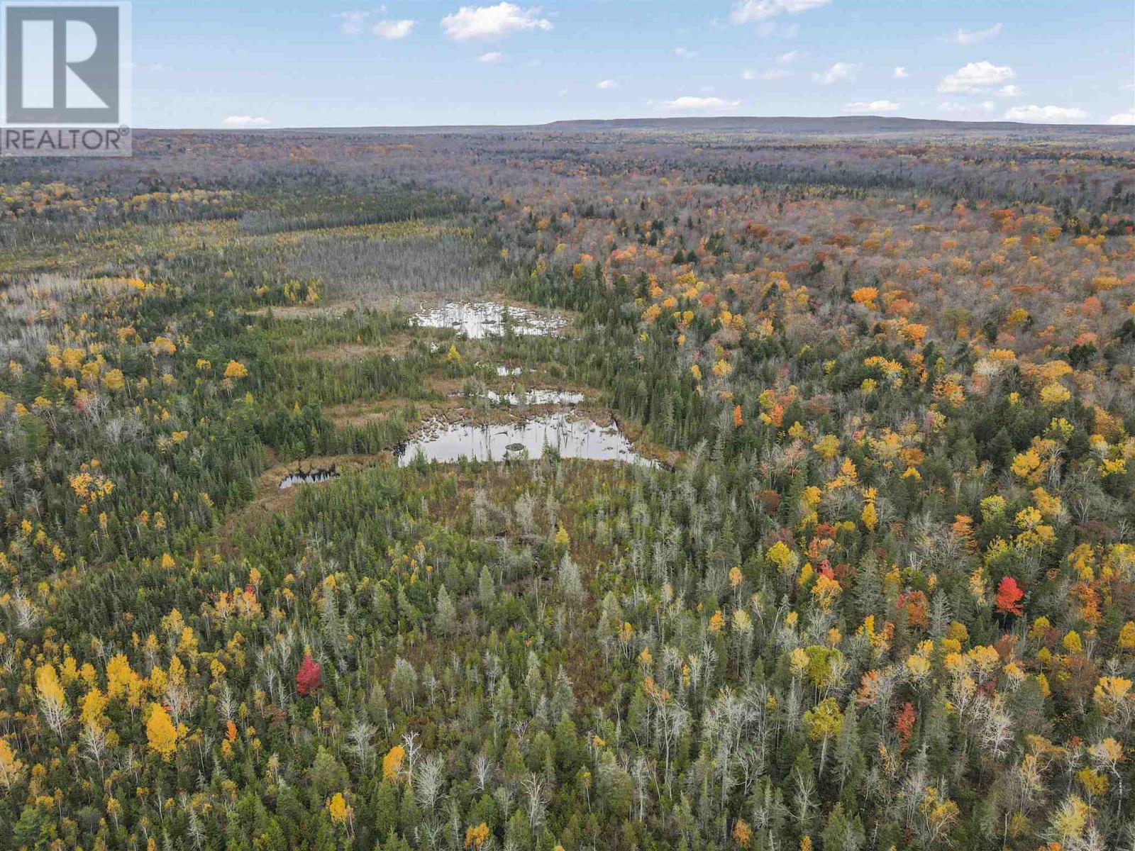 Pt Lt 12 Con V, Richards Landing, Ontario  P0R 1J0 - Photo 7 - SM253064