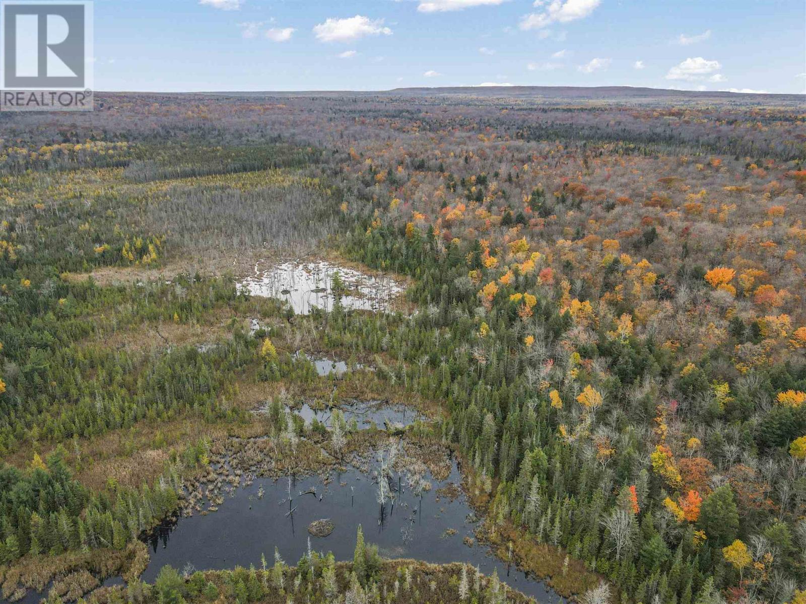 Pt Lt 12 Con V, Richards Landing, Ontario  P0R 1J0 - Photo 8 - SM253064