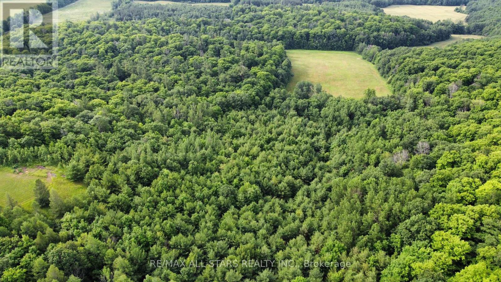 283 Bland Line, Cavan Monaghan, Ontario  L0A 1C0 - Photo 8 - X12479171