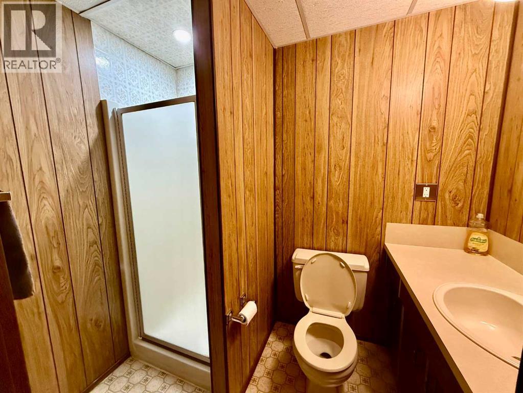 4219 54 Avenue, Provost, Alberta  T0B 3S0 - Photo 22 - A2259041