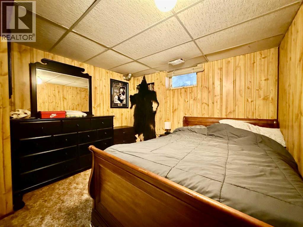 4219 54 Avenue, Provost, Alberta  T0B 3S0 - Photo 23 - A2259041