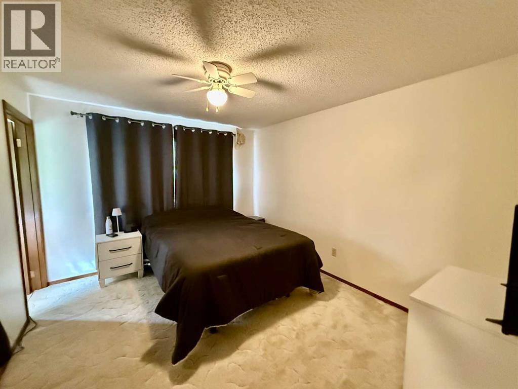 4219 54 Avenue, Provost, Alberta  T0B 3S0 - Photo 14 - A2259041