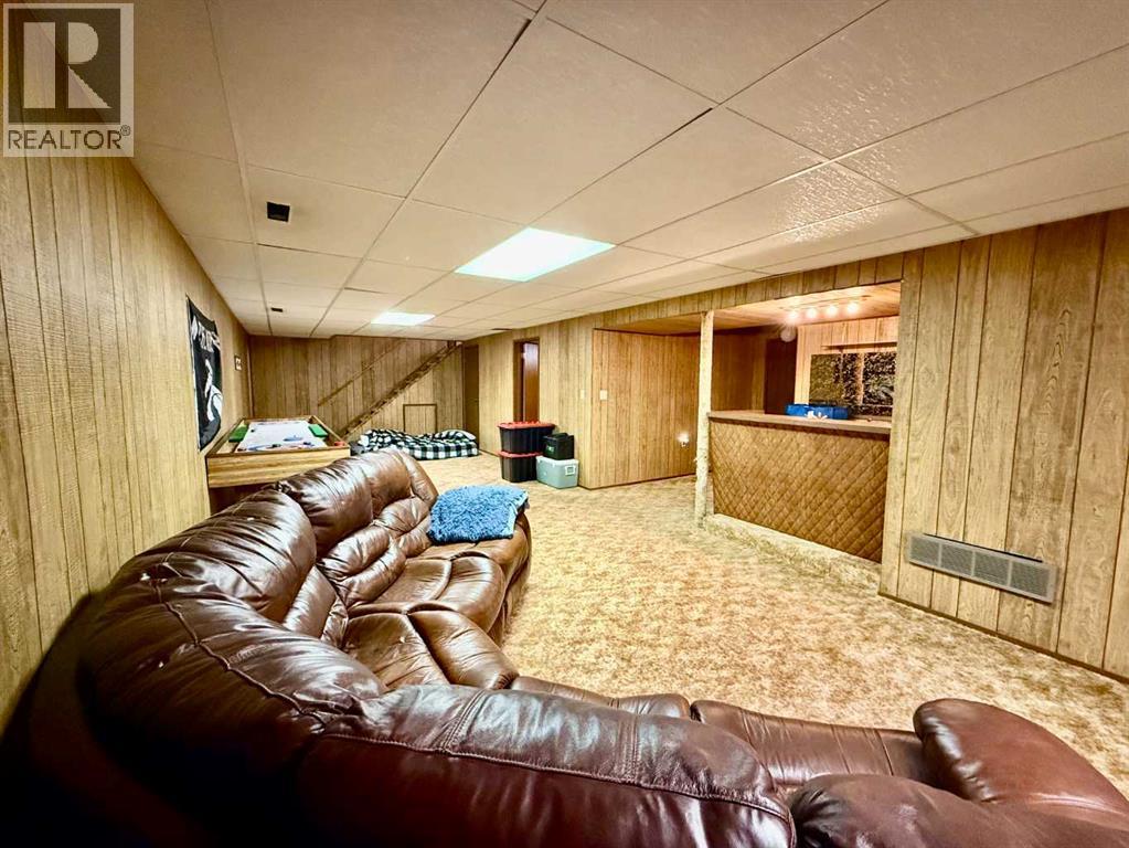 4219 54 Avenue, Provost, Alberta  T0B 3S0 - Photo 25 - A2259041