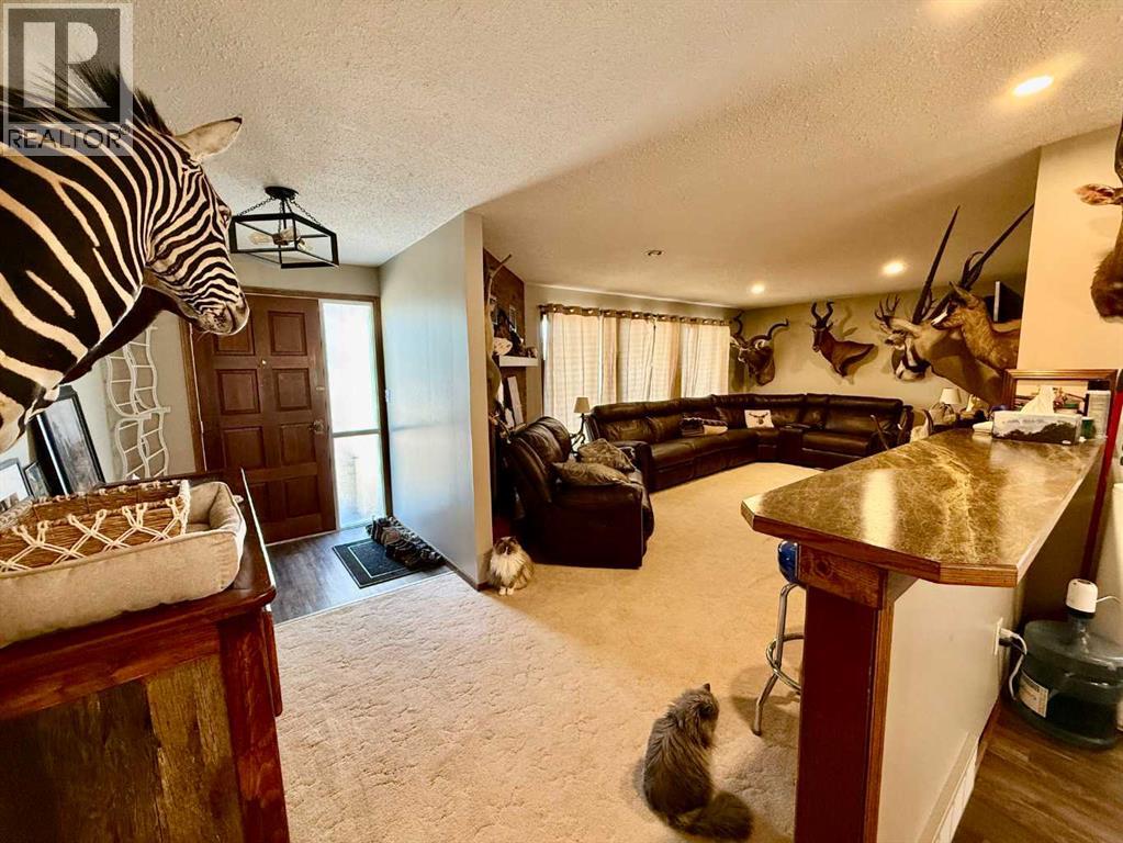 4219 54 Avenue, Provost, Alberta  T0B 3S0 - Photo 4 - A2259041