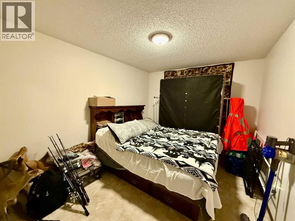 4219 54 Avenue, Provost, Alberta  T0B 3S0 - Photo 13 - A2259041