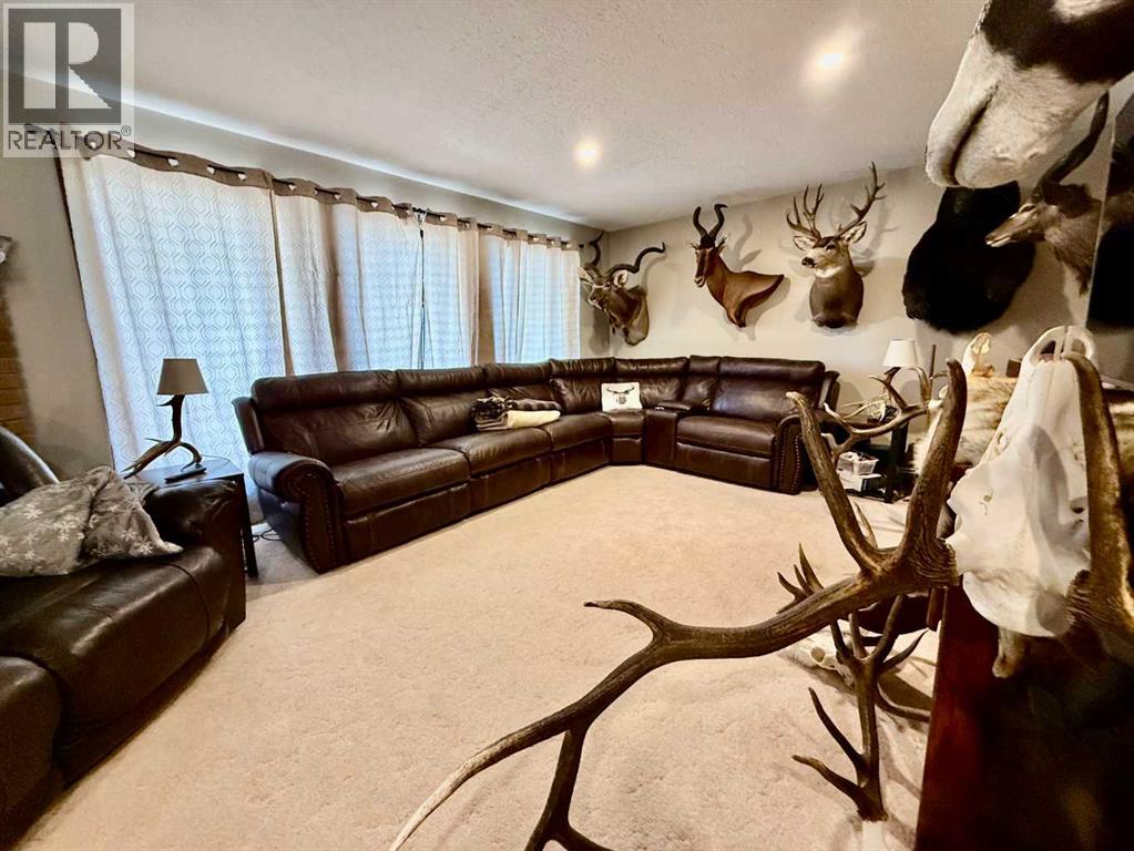 4219 54 Avenue, Provost, Alberta  T0B 3S0 - Photo 6 - A2259041