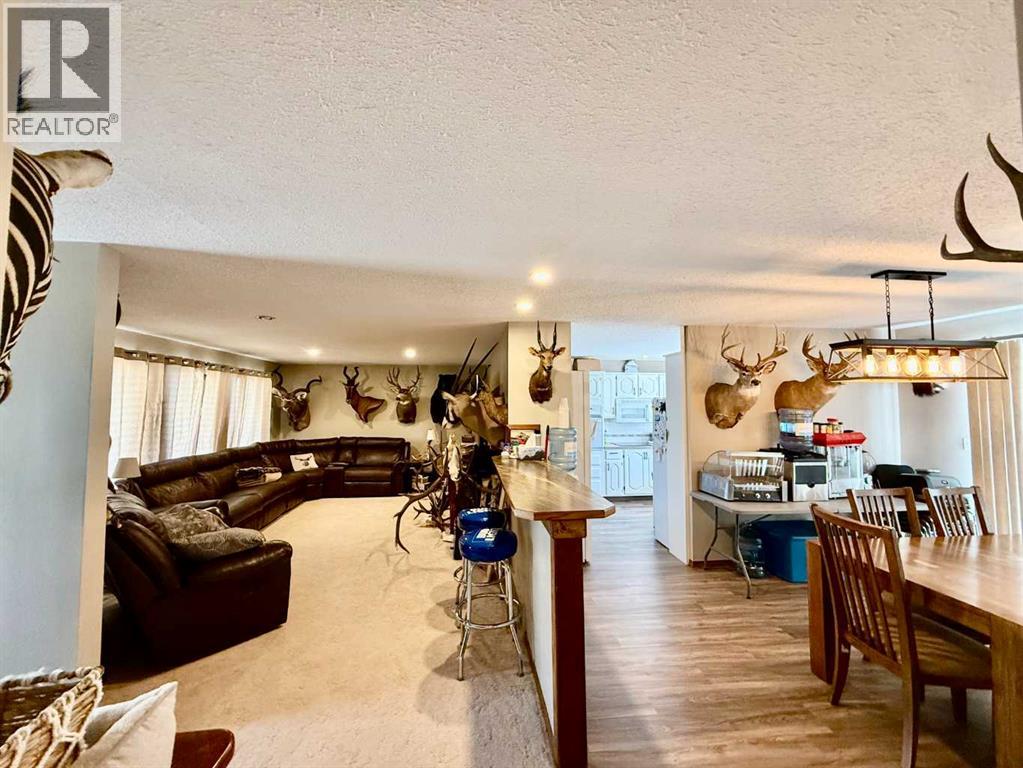 4219 54 Avenue, Provost, Alberta  T0B 3S0 - Photo 8 - A2259041