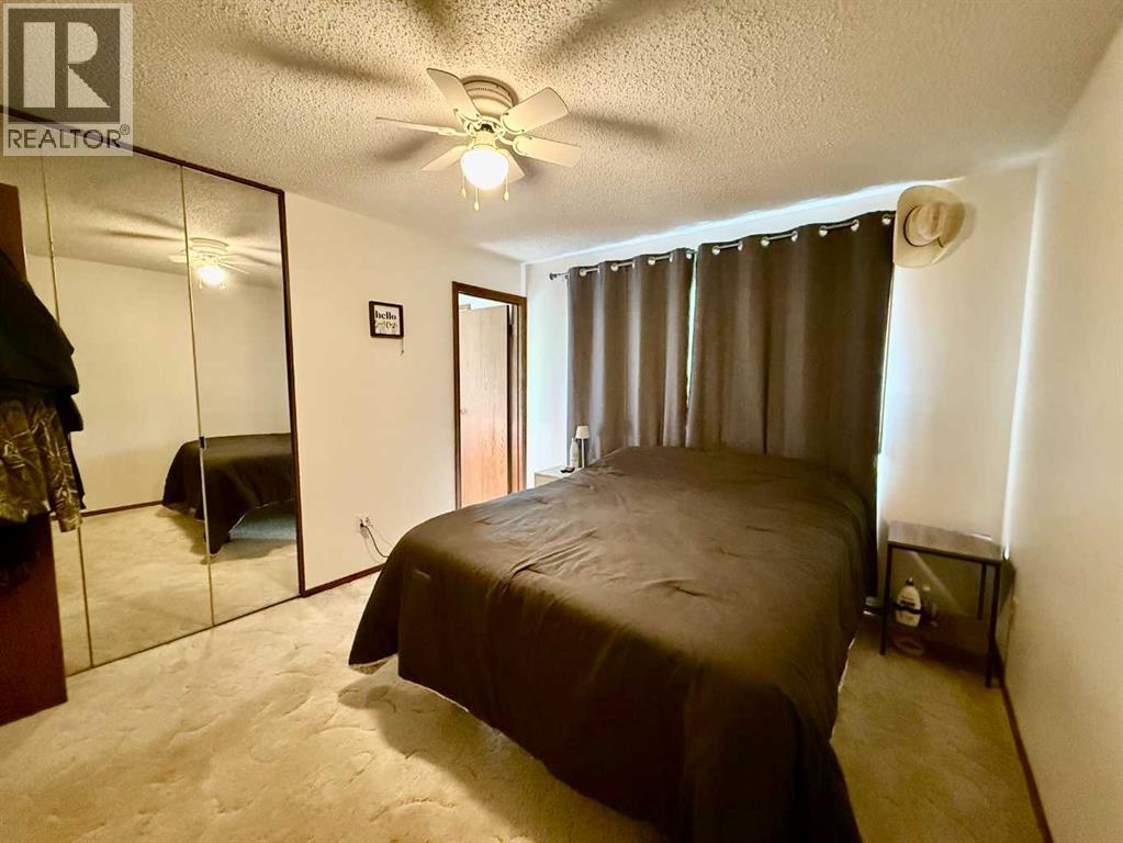 4219 54 Avenue, Provost, Alberta  T0B 3S0 - Photo 15 - A2259041